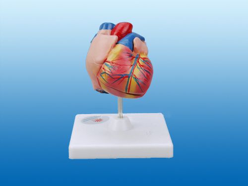 �c���鿴Ԕ����Ϣ���}�����Kģ�� ��x�Δ�(sh��)��1845